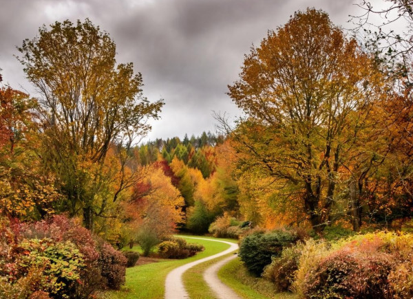 Тёплый сентябрь в Кузбассе продолжается - во вторник пасмурно, возможен дождь