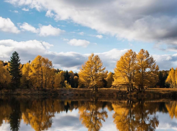 Хмурая и холодная осень придёт в понедельник. Готовимся к резкому похолоданию
