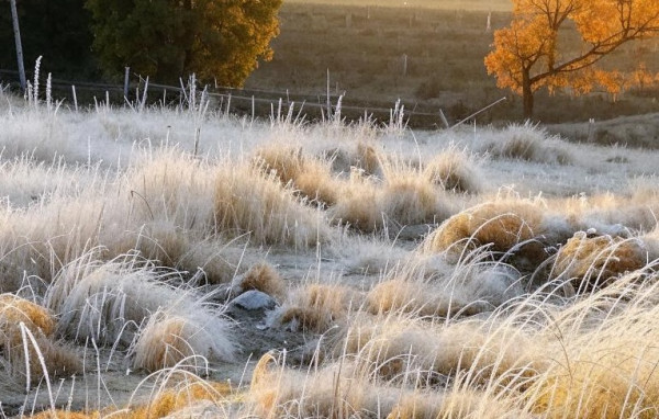 Осенний холод не отпустит Кузбасс. В последний день сентября ожидается похолодание до -5