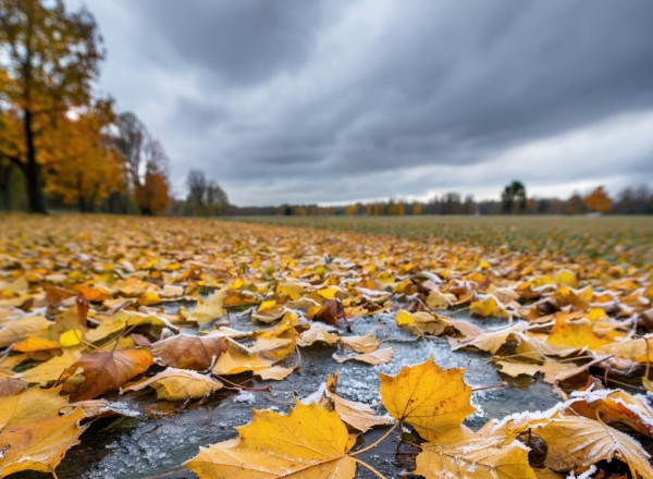 От -10 до +13. Пасмурная и довольно морозная погода ждёт Кузбасс