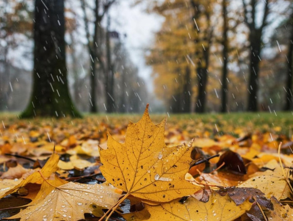 Готовимся к мокрому снегу и усилению ветра