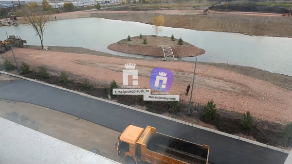 В Прокопьевске создают уникальное место отдыха на месте болота