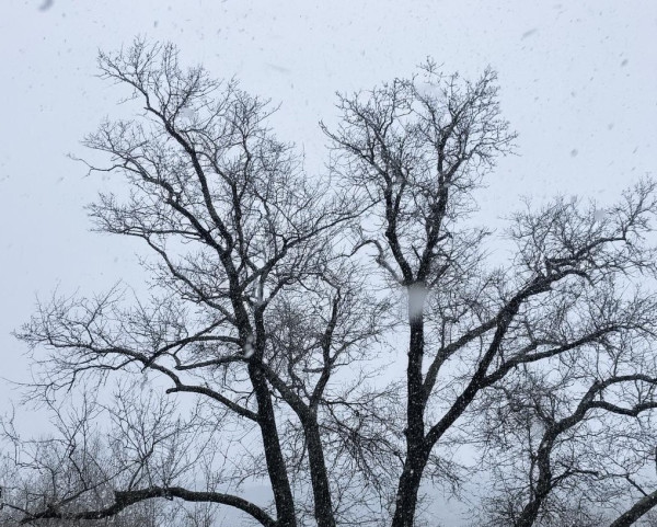 Кузбасс накроют снегопады и дождём и порывистым ветром