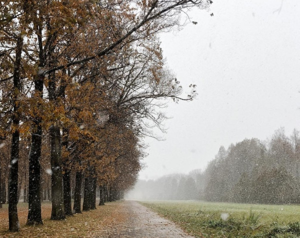 Выходные пройдут без солнца, а со снегом и дождем