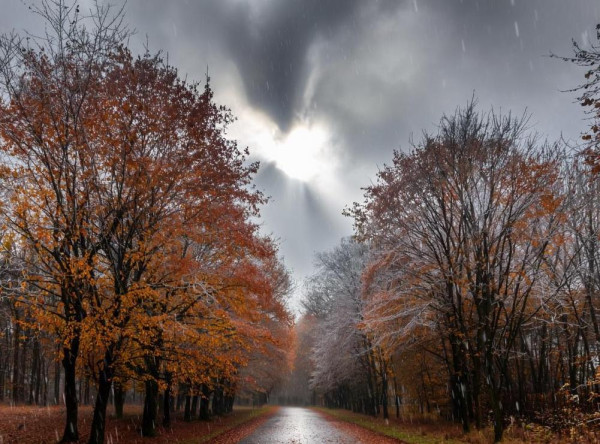 Дождь со снегом, гололёд на дорогах - в Кузбассе сохраняется ненастная погода