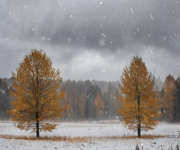 Морозные ночи и снег ждёт жителей Кузбасса в ближайшие дни