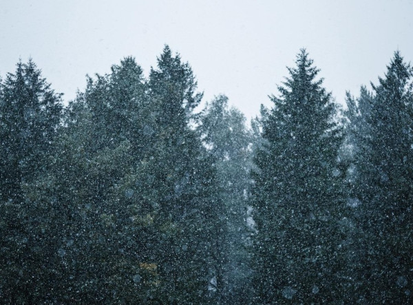 Ночью мороз до -15, а днём дождь со снегом. Погода продолжает испытывать кузбассовцев