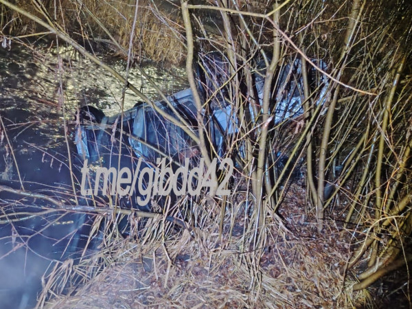 В Прокопьевске нетрезвый водитель въехал в дорожный знак и перевернулся. Пострадали два человека