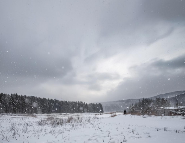 Снег, метели, порывистый ветер и похолодание до -16 Снег, метели, порывистый ветер и похолодание до -16