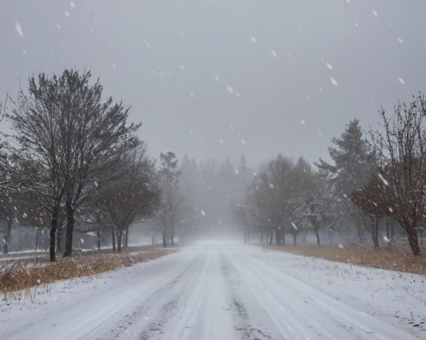 Дождь со со снегом и сильным ветром ожидается в Кузбассе в воскресенье Дождь со со снегом и сильным ветром ожидается в Кузбассе в воскресенье