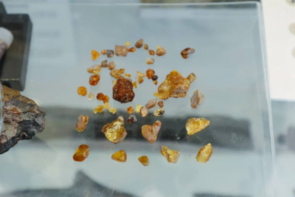 В Кузбассе обнаружили древнейший янтарь В Кузбассе обнаружили древнейший янтарь