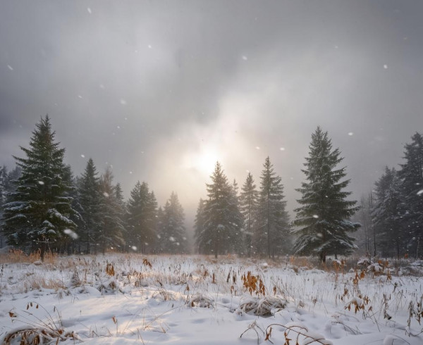 В Кузбассе в ближайший четверг в течение дня начнётся похолодание