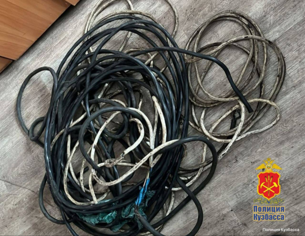 В Прокопьевске помощник по хозяйству украл у женщина медный кабель В Прокопьевске помощник по хозяйству украл у женщина медный кабель
