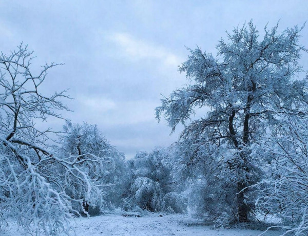 Плюсовая погода с дождем и мокрым снегом ждёт Кузбасс в пятницу