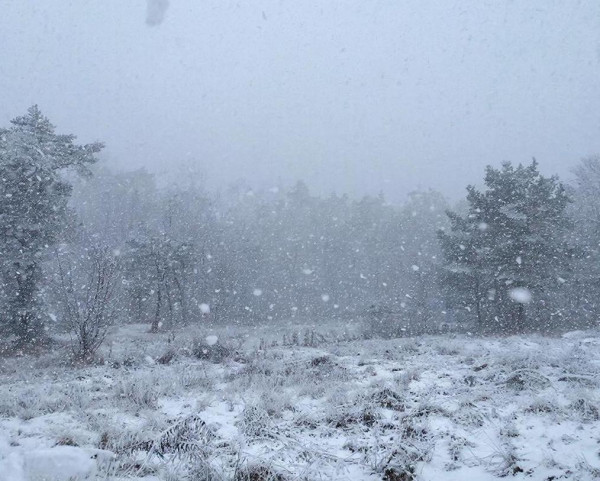 От -19 до -1, снег, метели и ураганный ветер От -19 до -1, снег, метели и ураганный ветер