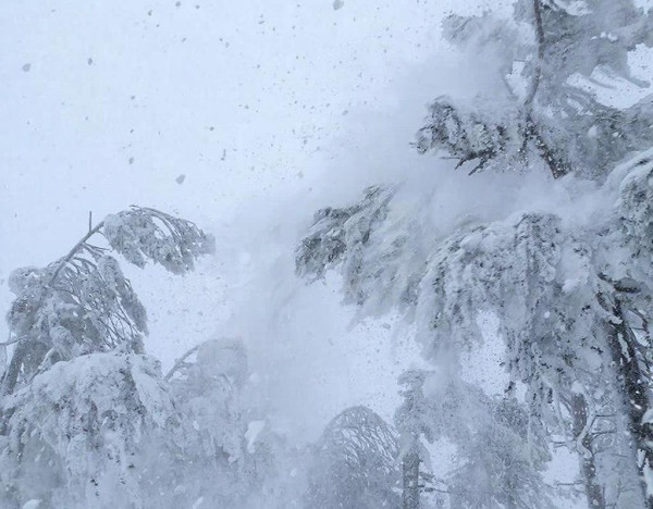 Кузбассовцам стоит готовиться к худшему - мокрый снег и ураганный ветер ожидается в понедельник Кузбассовцам стоит готовиться к худшему - мокрый снег и ураганный ветер ожидается в понедельник