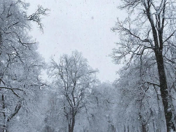 Большой минус принесёт в Кузбасс жуткий гололёд Большой минус принесёт в Кузбасс жуткий гололёд