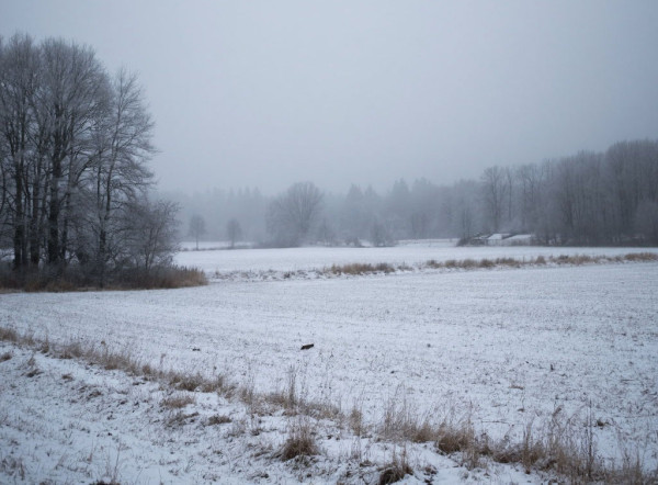 Небо станет пасмурным, а морозы отступят
