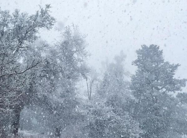 Мокрый снег с порывистым ветром обещают кузбассовцам в четверг Мокрый снег с порывистым ветром обещают кузбассовцам в четверг