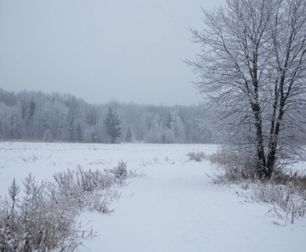 Снег и морозы до -26 придут в Кузбасс в субботу