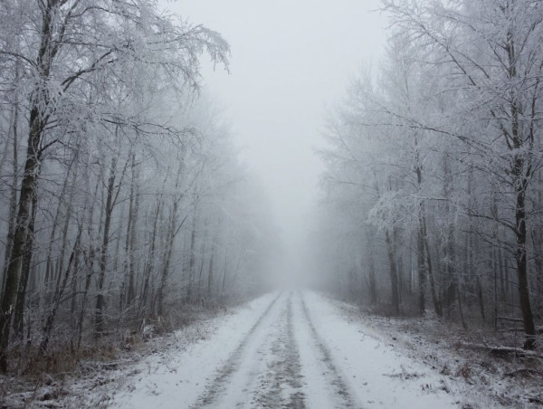 В пятницу в Кузбассе температура воздуха немного поднимется В пятницу в Кузбассе температура воздуха немного поднимется
