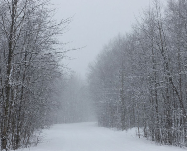 Снег и метели ударят по Кузбассу на выходных Снег и метели ударят по Кузбассу на выходных