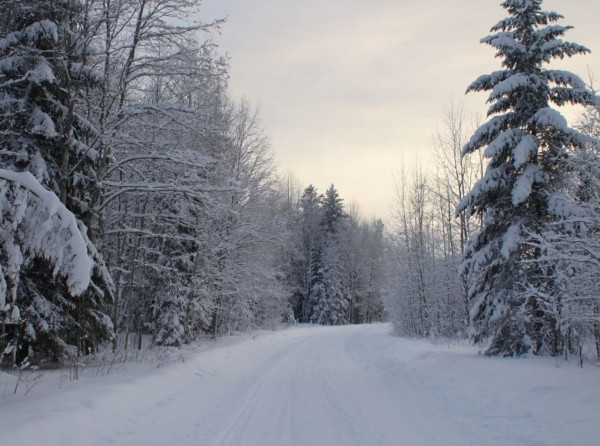 В Кузбассе в четверг днём не ниже -5, снег и метели