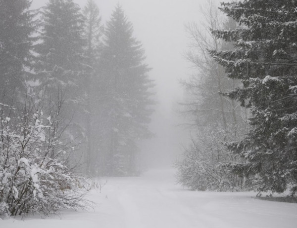 Тёплая, снежная ветреная погода с последующим похолоданием ждёт Кузбасс в пятницу