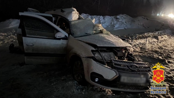 Водитель грузовика в наркотическом опьянении устроил ДТП, в котором погибли три человека Водитель грузовика в наркотическом опьянении устроил ДТП, в котором погибли три человека