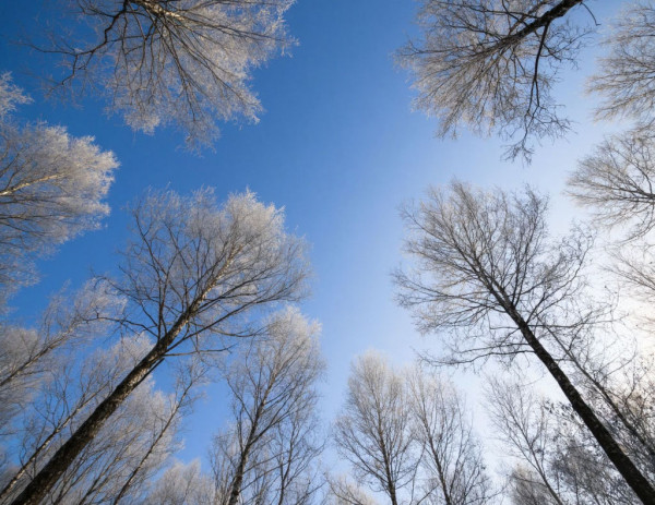 Запредельно холодно. В Кузбассе ожидается похолодание до -44