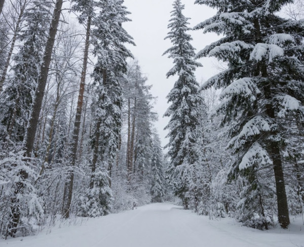 В четверг в Кузбассе начнется потепление, усилится ветер В четверг в Кузбассе начнется потепление, усилится ветер