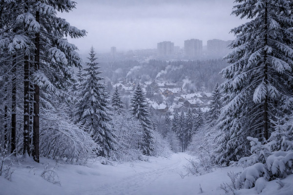 В последний день января в Кузбассе будет тепло, как в марте