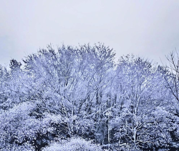 В понедельник в Кузбассе без осадков, температура воздуха будет расти