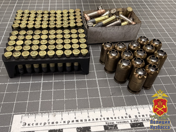 Лишённый оружия прокопчанин хранил 200 патронов