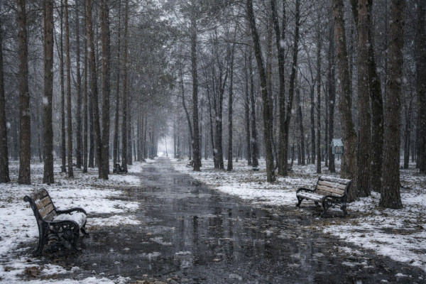 Суббота в Кузбассе будет малооблачной, а воздух прогреется до +5