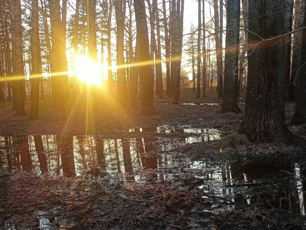 Пятница в Кузбассе будет пасмурной, жаркой и без осадков 