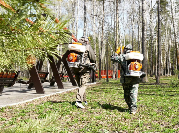 В Прокопьевске определили места для противоклещевой обработки В Прокопьевске определили места для противоклещевой обработки