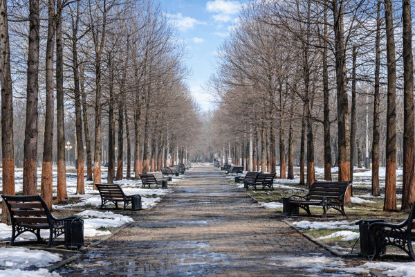 Пасхальное воскресенье в Кузбассе будет пасмурным, холодным и ветреным Пасхальное воскресенье в Кузбассе будет пасмурным, холодным и ветреным