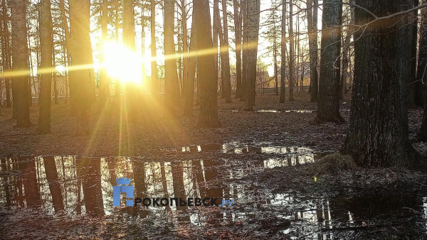 Воскресенье будет жарким. В Кузбассе потеплеет до +26