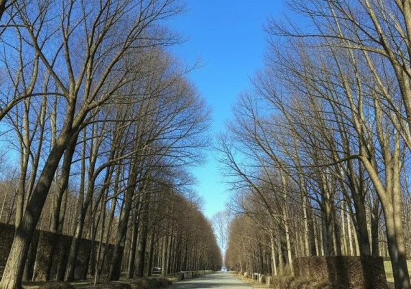 В четверг в Кузбассе будет ясно, солнечно и без осадков