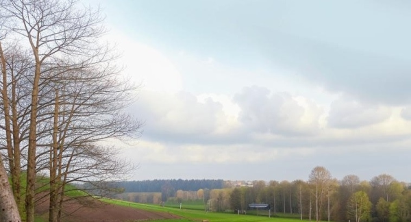 В последний день апреля в Кузбассе воздух прогреется до +28