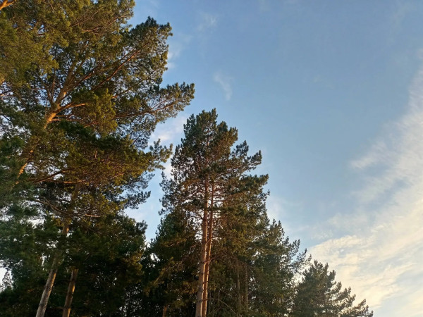Во вторник утренняя прохлада сменится дневной жарой под +30