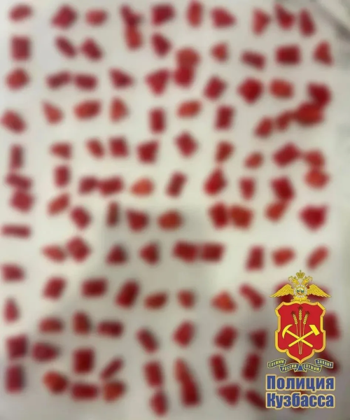 В Прокопьевске сотрудники полиции пресекли попытку сбыта крупной партии запрещённых веществ