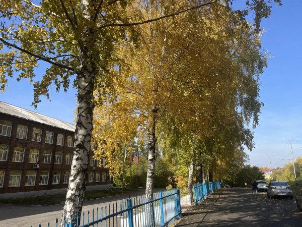 В четверг в Кузбассе будет малооблачно и холодно