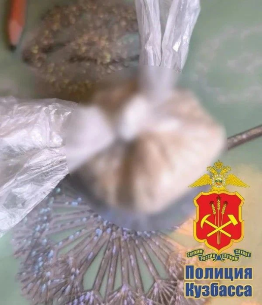В Прокопьевске оперативники обнаружили у новокузнечанина метадон и карфентанил в особо крупном размере 