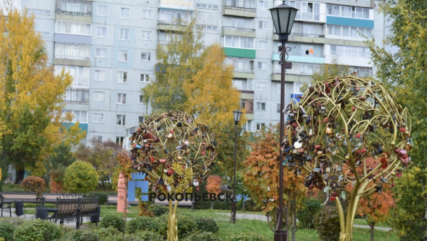 В понедельник в Кузбассе похолодает, пройдут дожди