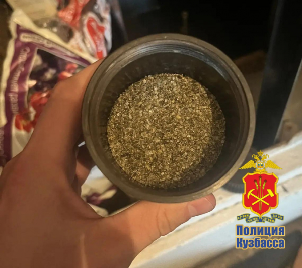 В Прокопьевске на дедушку завели уголовное дело за хранение пороха