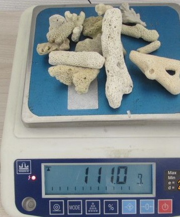 В аэропорту Новокузнецка таможенники обнаружили редкие кораллы в багаже туриста из Вьетнама