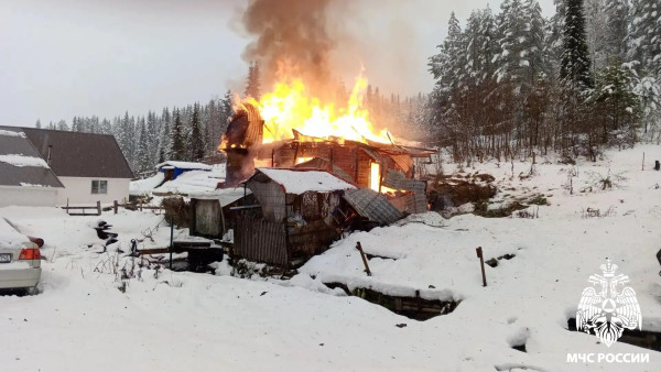 В Кузбассе на пожаре погибли двое детей
